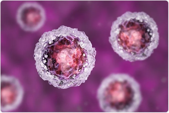 Cancer Stem Cells