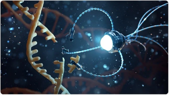 DNA Nanotechnology in Medicine